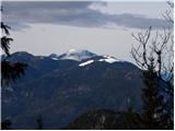 Pri Jalnu / Fusine Laghi - Kopa / Monte Coppa